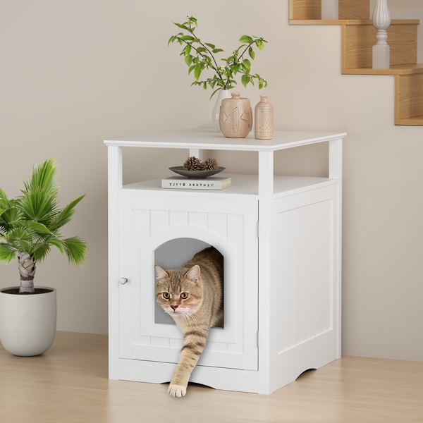 Cat furniture